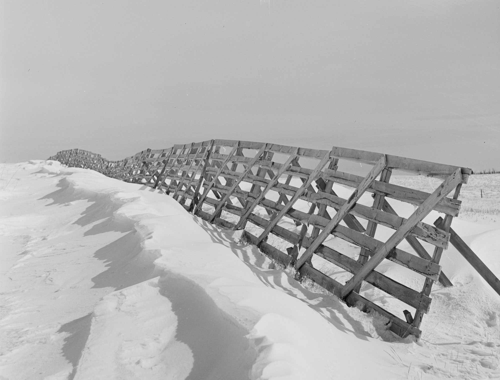 Black and white photograph of a wooden snow fence in North Dakota taken in 1942. The photo shows a fence made up of a series of panels. Each panel has three upright boards, six widely spaced horizontal boards, and two diagonal boards. The panels are each propped up by additional boards used as supports. The fence begins at the lower right and travels toward the left horizon. Snow is mounded along the near side of the fence.