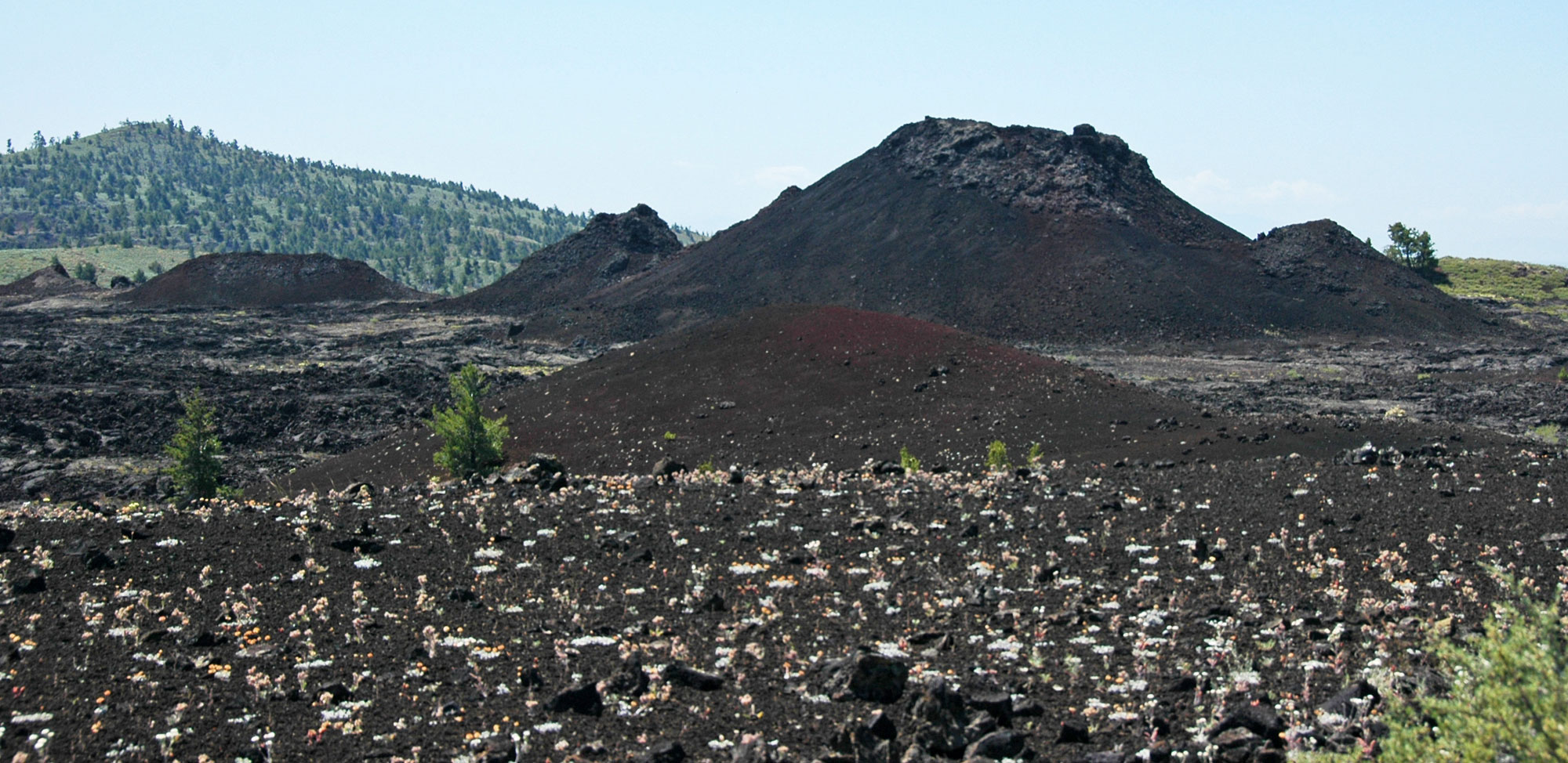 Photograph of volcanic spatter cones in Craters of the Moon National Monument, Idaho. The photo shows a series of low, black mounds on a landscape of coarse, black stones. A hill covered with conifers rises in the background.