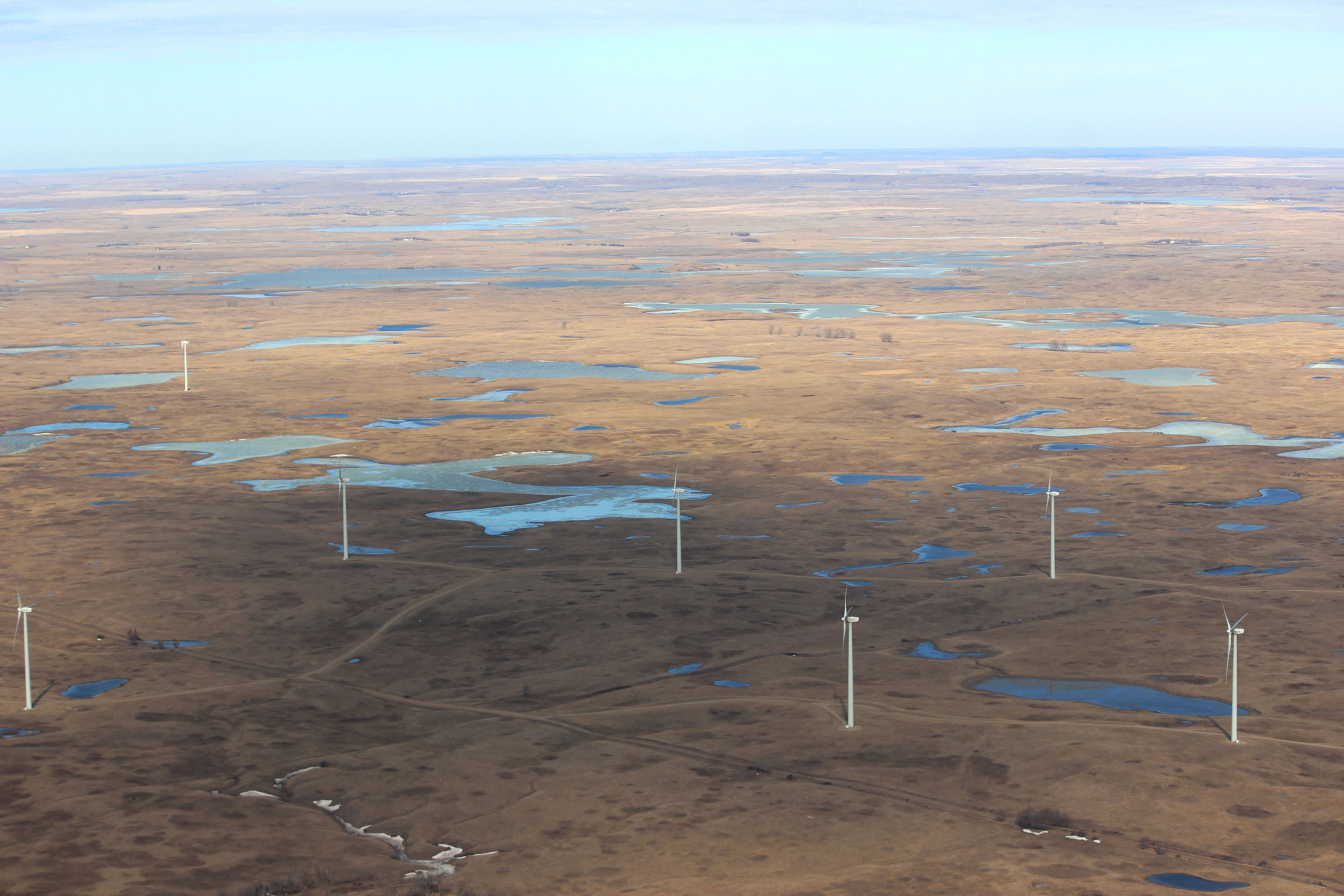 Aerial photograph of a flat of landscape covered with brown vegetation and dotted with pothole lakes. About seven large white wind turbines and scattered on the landscape.