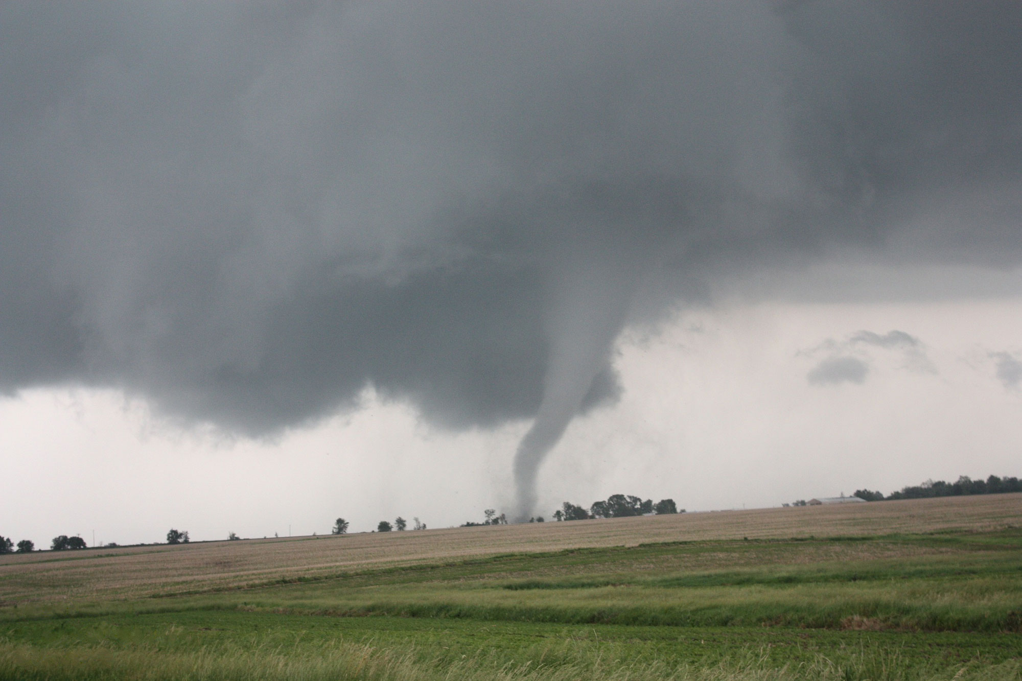 Photo of a tornado in Illinois. The photo shows fields of green and yellow grass in the foreground, with trees on the horizon. The sky is overcast with gray clouds. A thin tornado extends down from the clouds at the center of the image, touching the ground on the horizon.