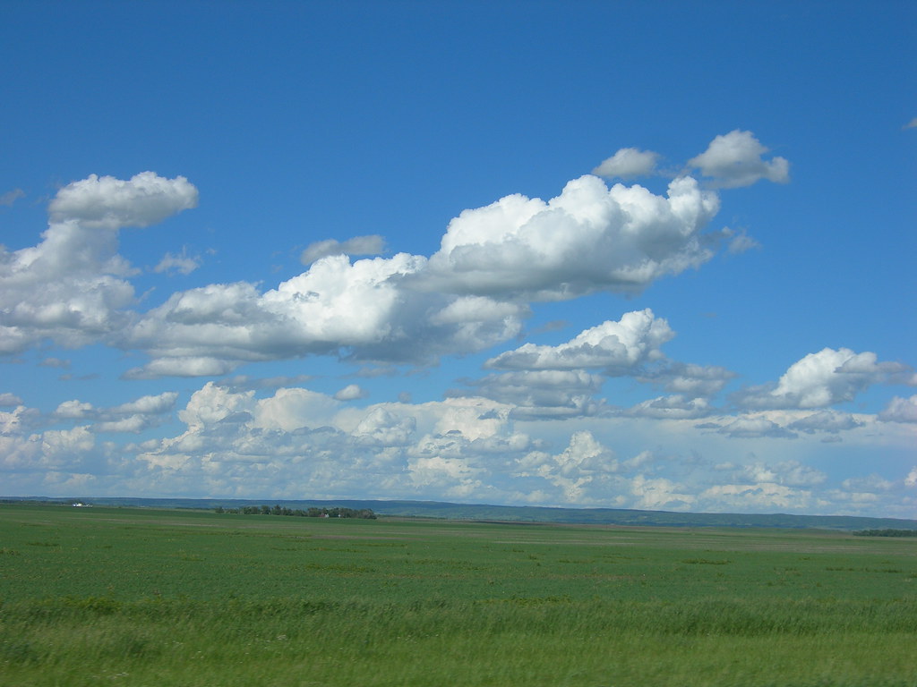 Photograph of the Drift Prairie in North Dakota, with the Turtle Mountains in the distance.