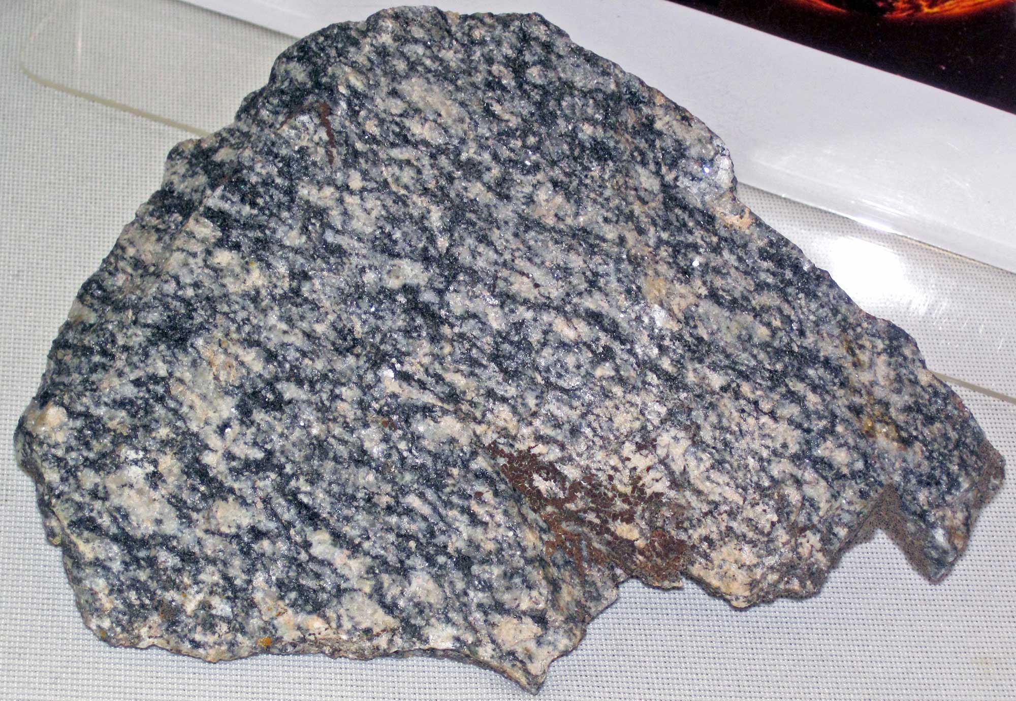 Photograph of a sample of Archean Watersmeet Gneiss from Watersmeet, Michigan. The photo shows a mottled dark gray and pinkish beige rock.