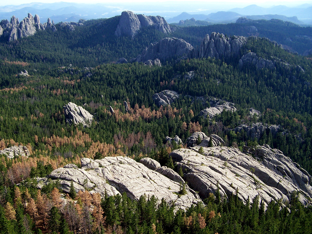 Photograph of natural rock exposures in the Black Hills of South Dakota.