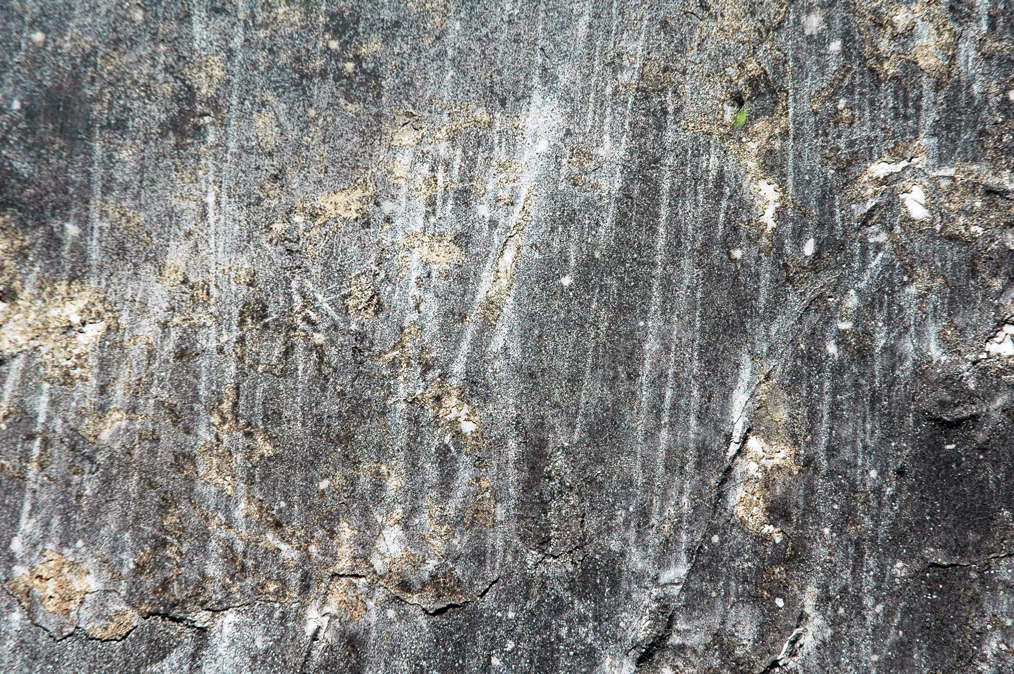 Photograph of glacial striations in dolostone in Vermont. The photo shows a beige and dark gray rock with straight, white, roughly parallel scratches on its surface.