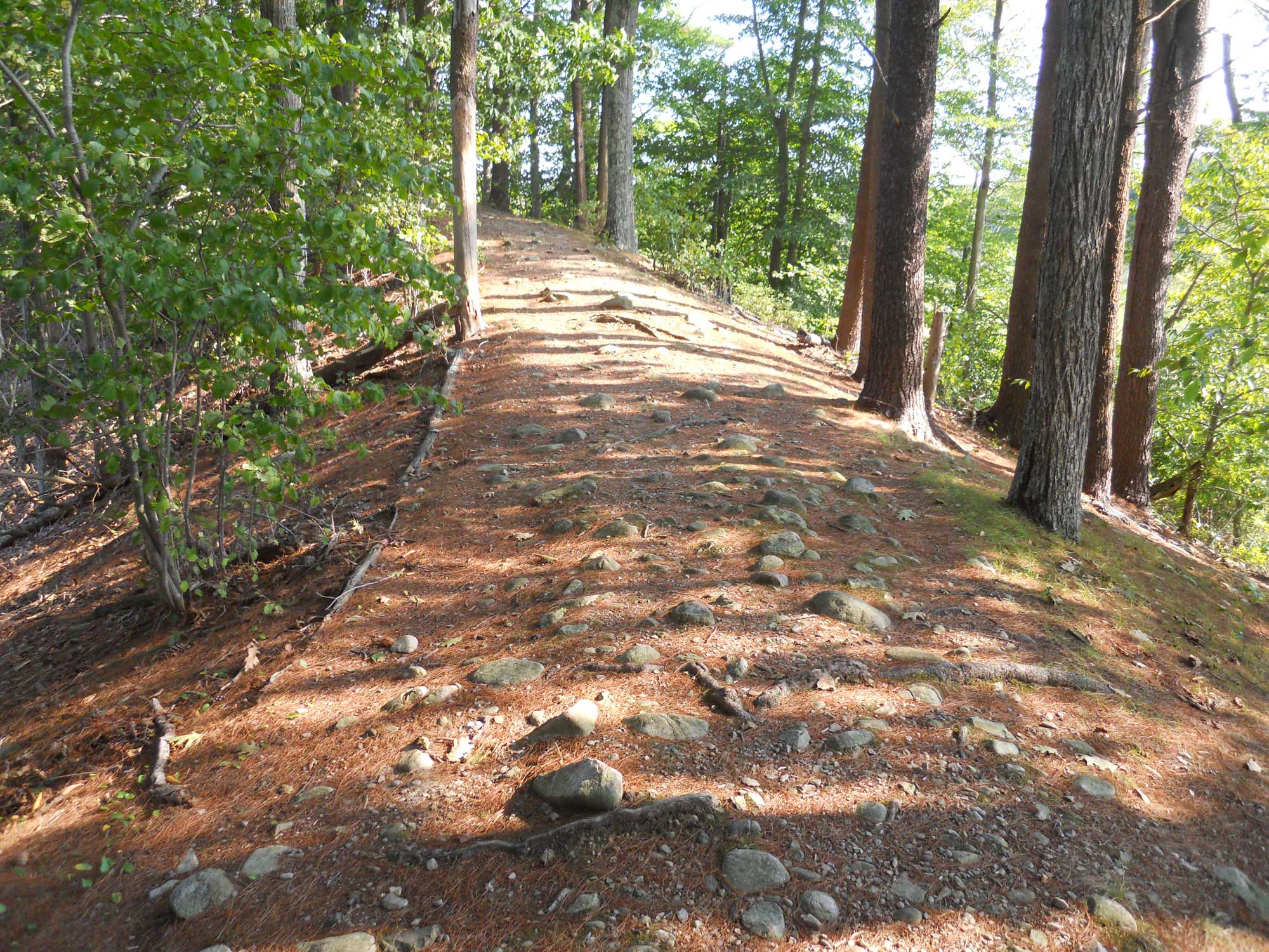 Photograph of a trail on the spine of an esker near Averill's Island, Massachusetts. The photo shows a rocky path extending from the center-front of the image nearly straight back to where it disappears into the trees. The land on either side of the trail slopes downward and has trees growing on it.