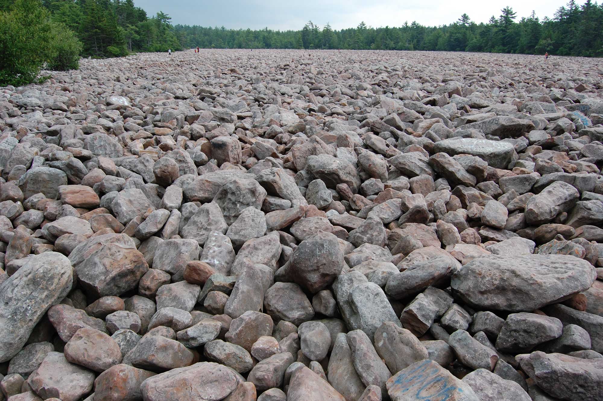 Photograph of the boulder field at Hickory Run State Park, Pennsylvania. The photo shows a field covered completely with numerous pinkish boulders. In the far distance, people can be seen in the field. Forest flanks the edges of the field in the background of the image.