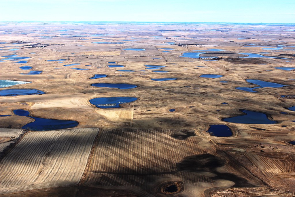 Aerial photograph of the Prairie Pothole Region of North Dakota.