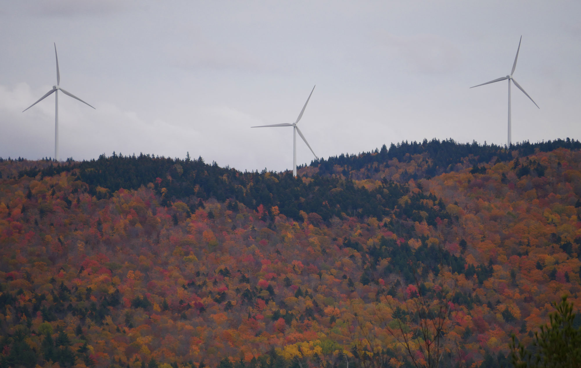 Photograph of Spruce Mountain Wind Farm in Maine. The photo shows three large, white wind turbines near the top of a forest ridge. The ridge is a mix of evergreen and deciduous trees. The deciduous trees are in fall color.