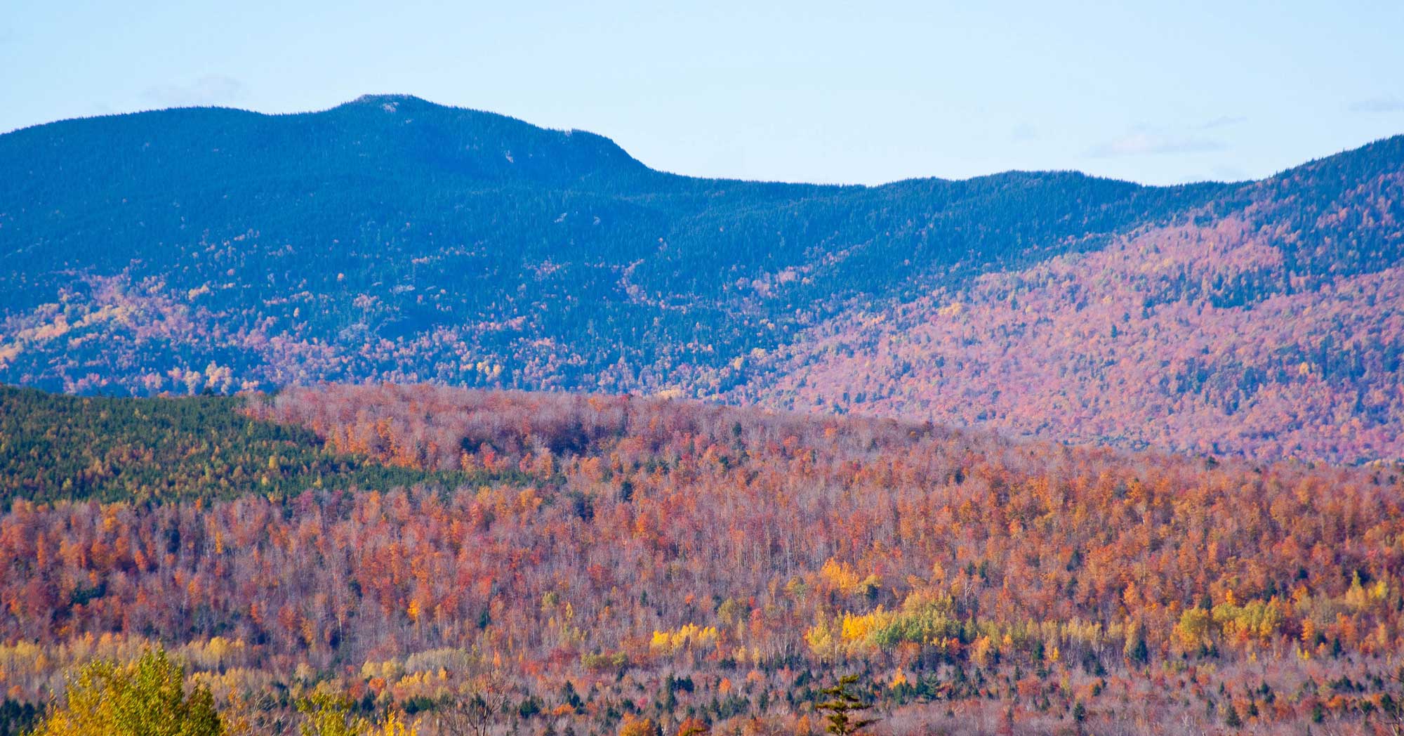 Photograph of Sugarloaf Mountain, Maine. The photo shows a rounded mountain peak in the distance at the left, sloping down to a low ridge at the center of the image, with the ridge continuing at roughly the same height toward the right side. A lower hill is in the foreground. Both mountain and hill are covered with tress, some without leaves, some in fall colors, and some green. 