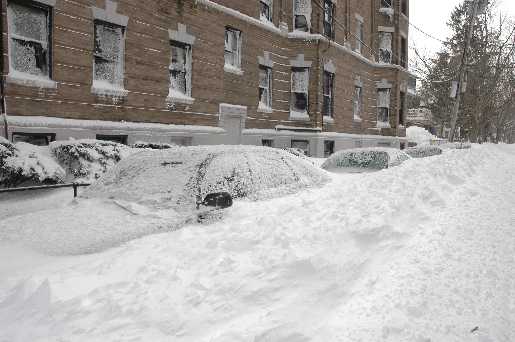 Photo of a street filled with snow and parked cars buried in snow near a building