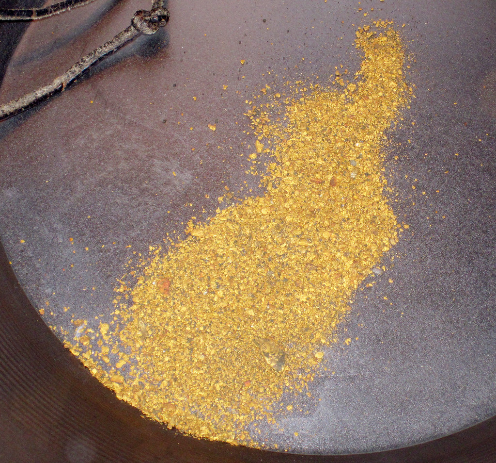 Photograph of placer gold dust from Cody, Wyoming.