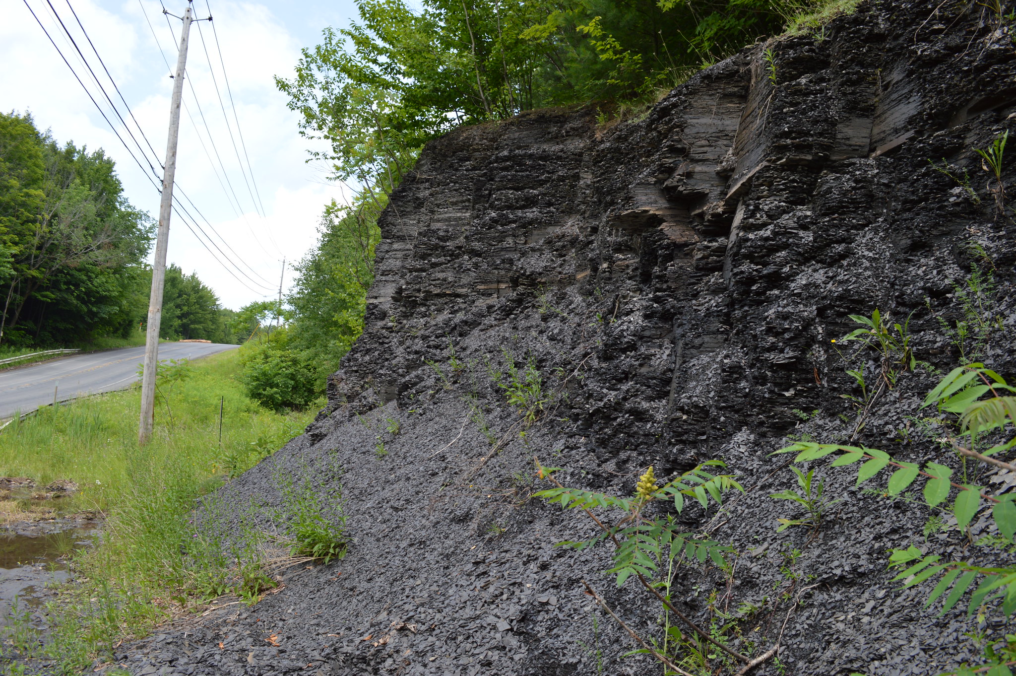 Photo of a roadside cut with layers of shale