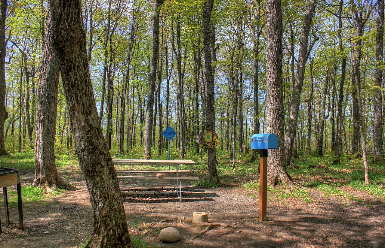 Photograph of the summit of the point of highest elevation in Michigan, Mt. Avron.