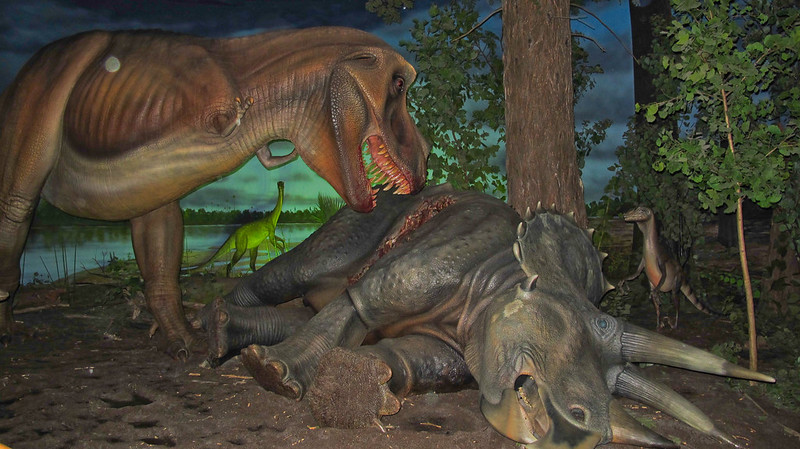 Photograph of reconstructions of dinosaurs at the Milwaukee Public Museum.