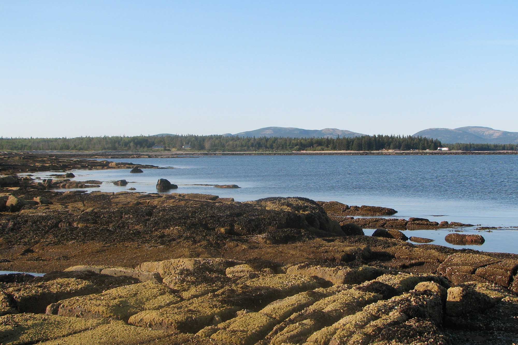 Photograph of a rocky shoreline at Acadia National Park in Maine.