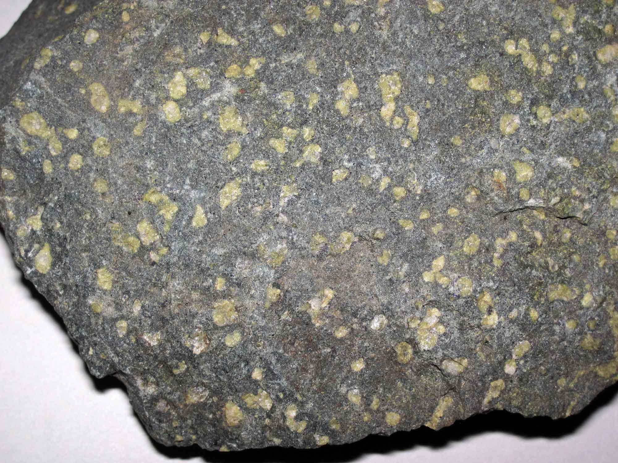 Photograph of a sample of Catoctin Formation greenstone.