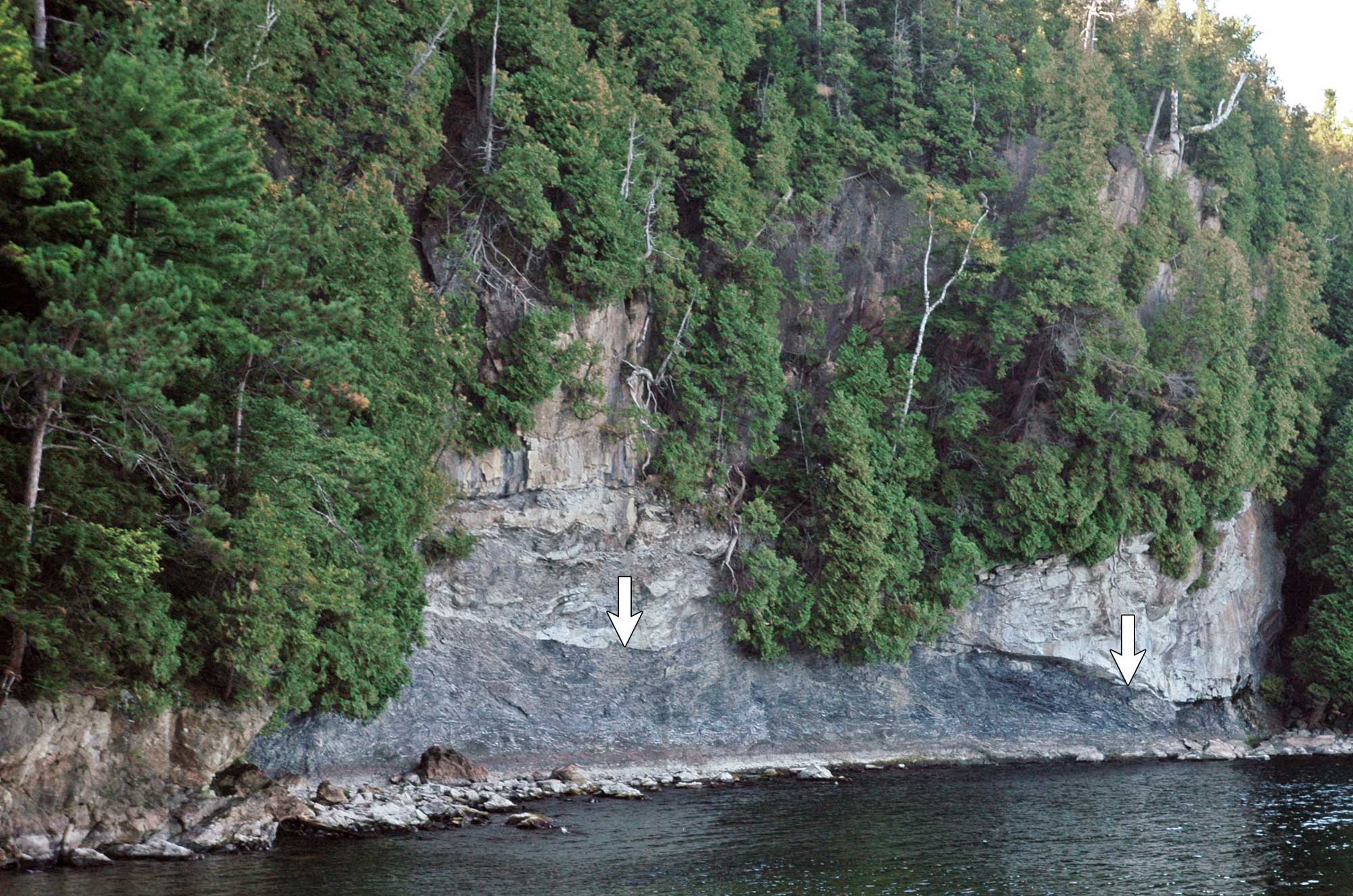 Photograph of the Champlain Thrust Fault in Vermont. The photo shows a rock face along a shoreline, with conifers growing above. The rock consists of a light gray layer above a dark gray layer. Two arrows point at the position of the fault.