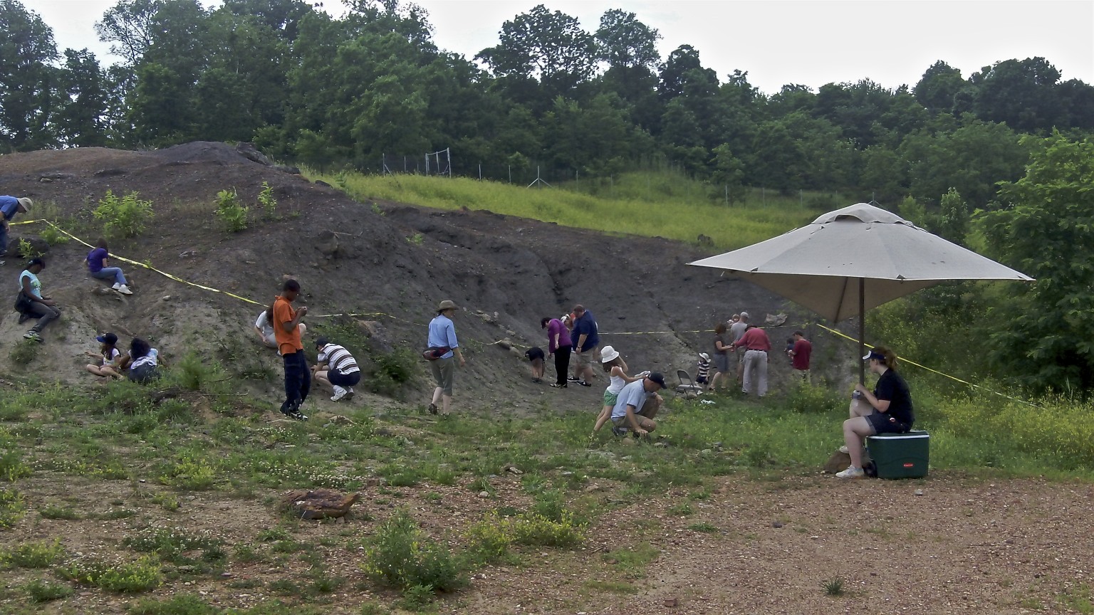 Photograph of people fossil hunting on an exposure of Arundel Clay at Dinosaur Park in Maryland. The photo shows a low hill with exposed brown sediment and grass growing on top. People are hunting for fossils at the base and on the slopes of the cliff.