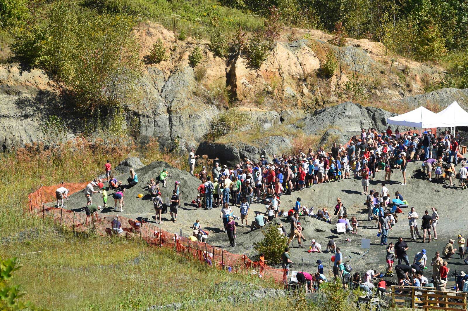 Photograph of Edelman Fossil Park, also called the Inversand Site, in Mantua, New Jersey. The photo shows a crow of people lined up to look for fossils in piles of sediment on the floor of an old quarry. In the background, the eroded walls of the quarry appear greenish gray near their bases, tan above.