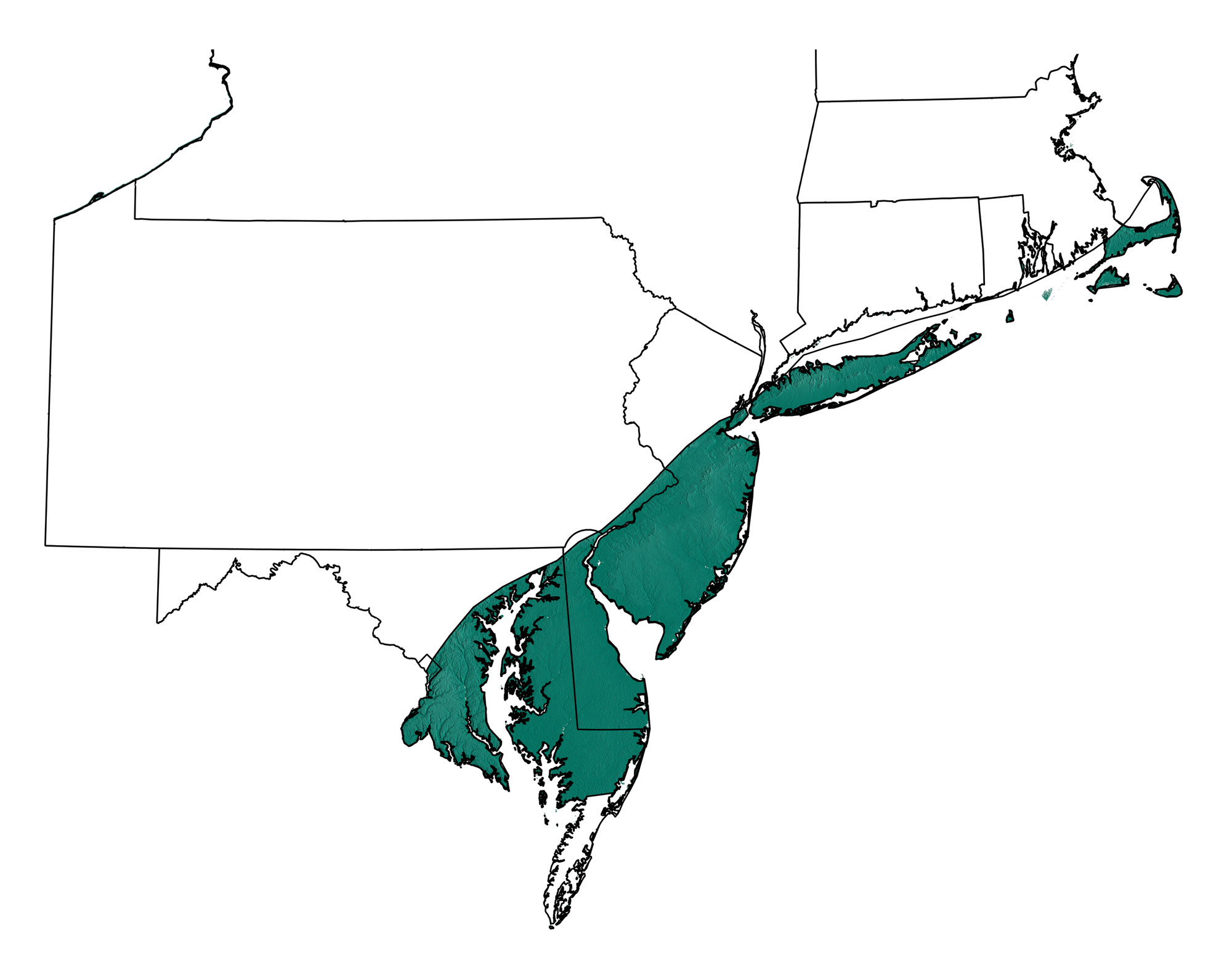 Topographic map showing the region of the northeastern United States occupied by the Coastal Plain.