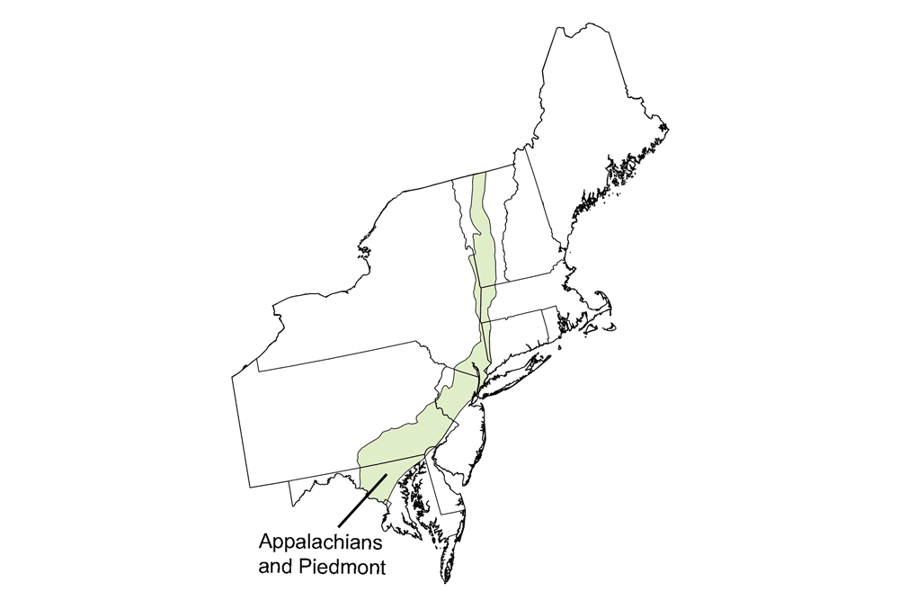 Simple map highlighting the Appalachians and Piedmont region of the northeastern United States.