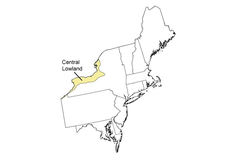 Simple map highlighting the Central Lowland region of the northeastern United States.