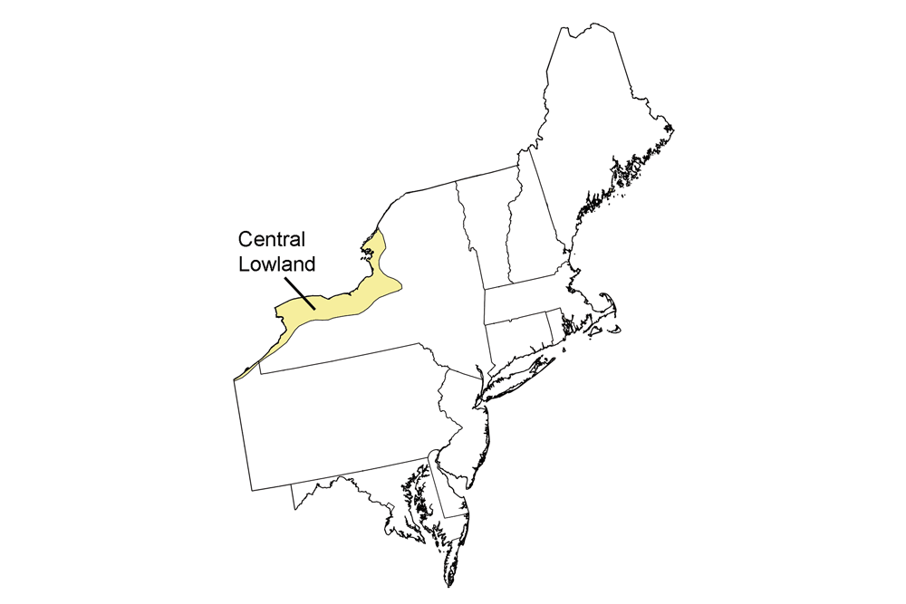 blank northeastern map