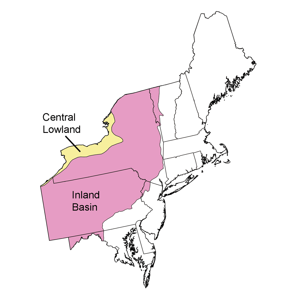 Simple map highlighting the Central Lowland and Inland Basin regions of the northeastern United States.