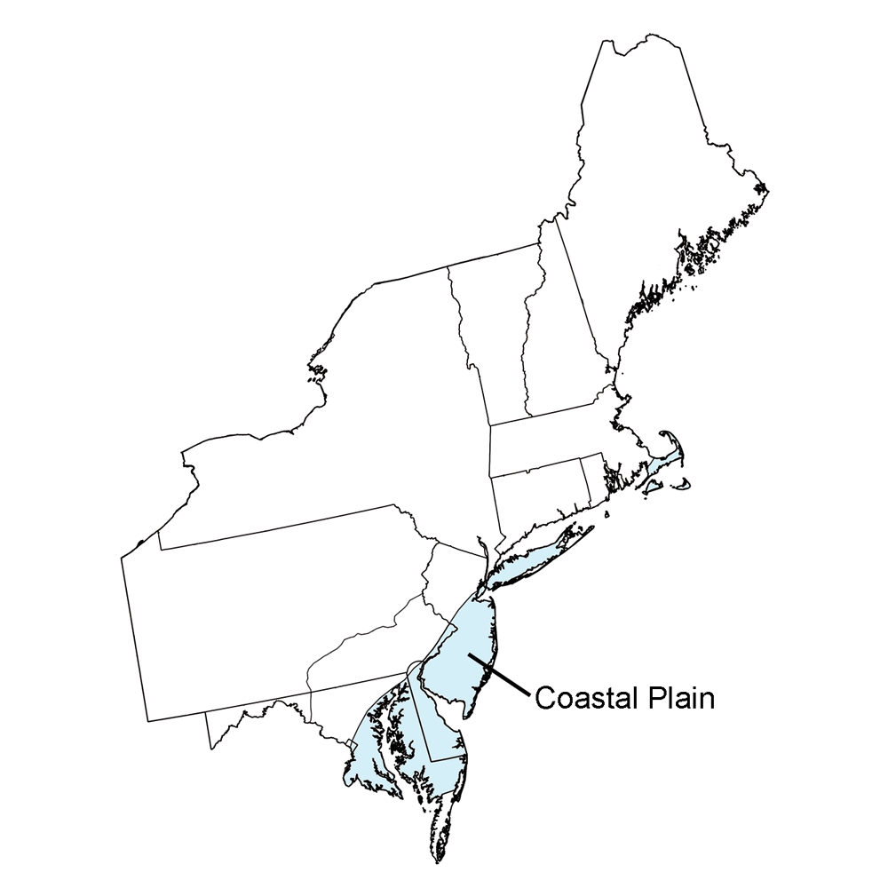 Simple map highlighting the Coastal Plain region of the northeastern United States.