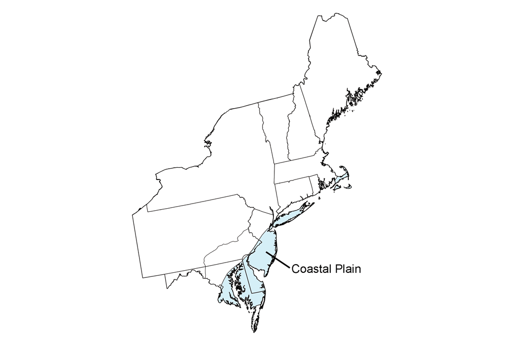 Simple map highlighting the Coastal Plain region of the northeastern United States.