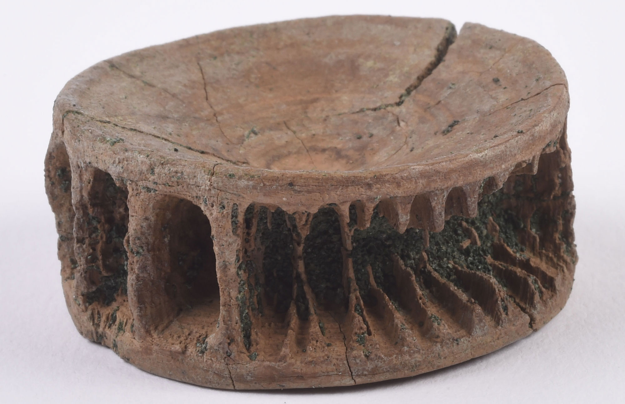 Photograph of a shark vertebra from the Inversand Dig Site, Cretaceous, New Jersey. The photo shows a brown, disk-like bone.