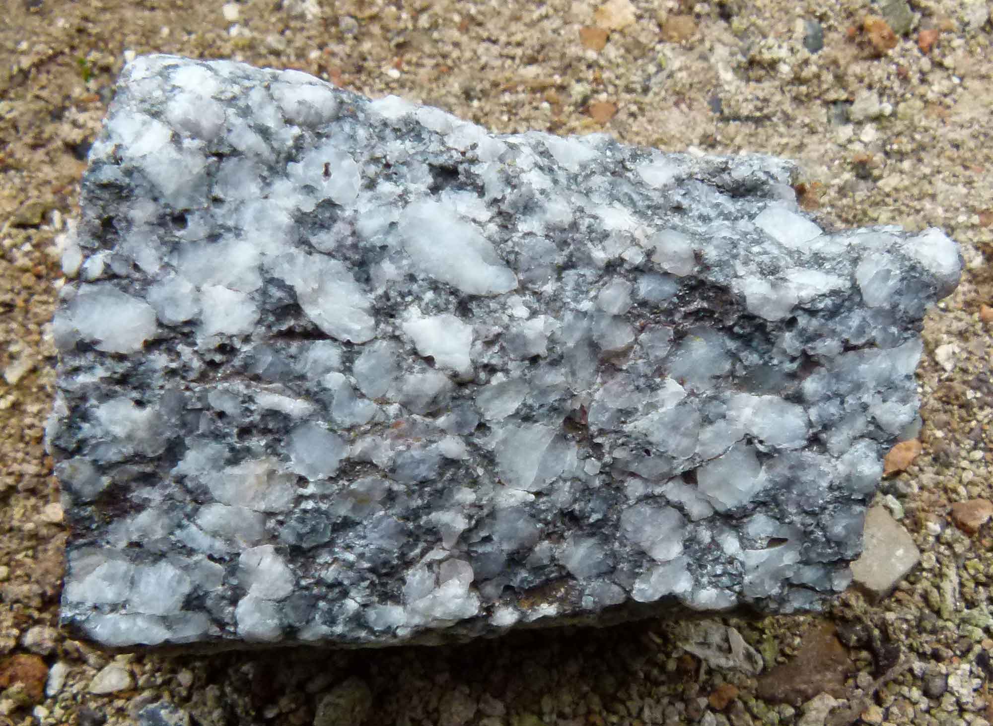 Photograph of Weverton Formation Metaconglomerate from Catoctin Mountain Park in Maryland.