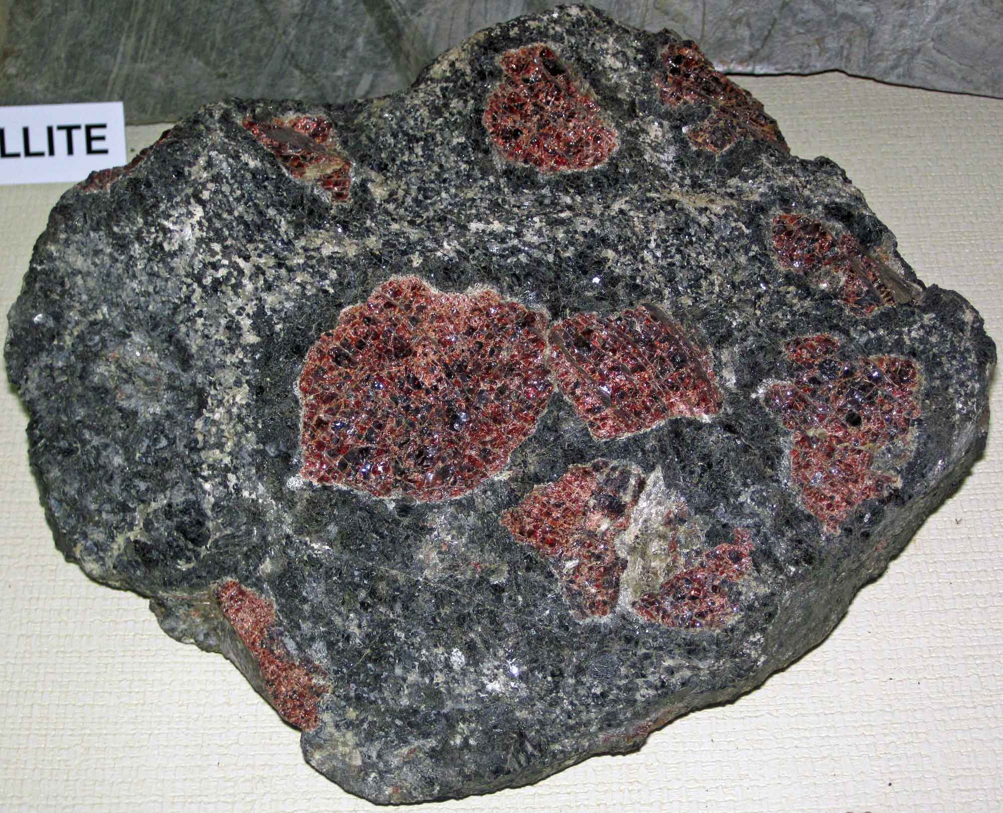 Photograph of a rock containing large garnets from Gore Mountain, New York