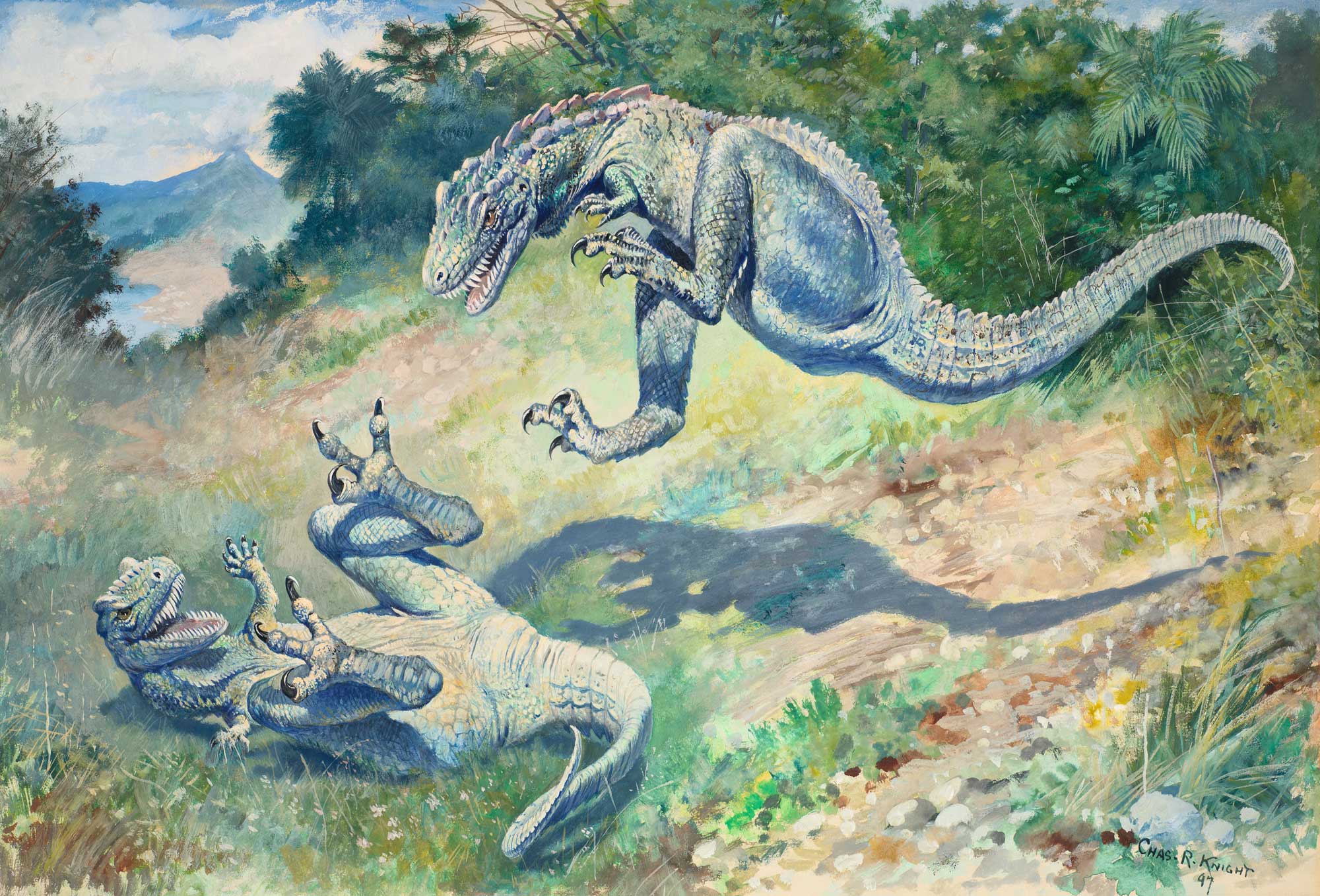 Photograph of a painting of Dryptosaurus by Charles R. Knight. The painting shows two carnivorous dinosaurs. One is on its back with its arms and legs in the air in a defensive posture. The other is in the air, pouncing.