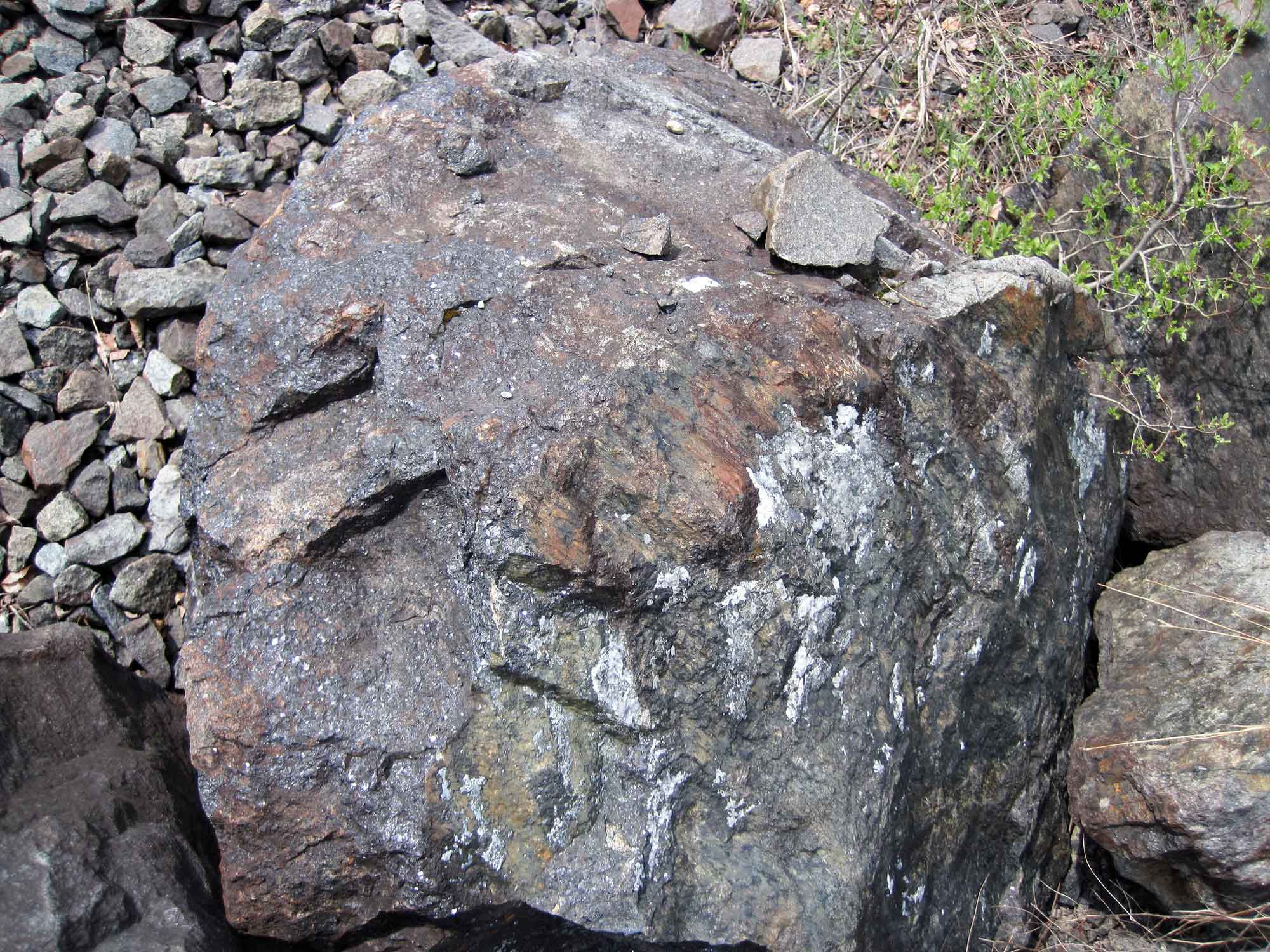 Photograph of a rock containing magnetite and ilmenite from the Precambrian of the Adirondacks.