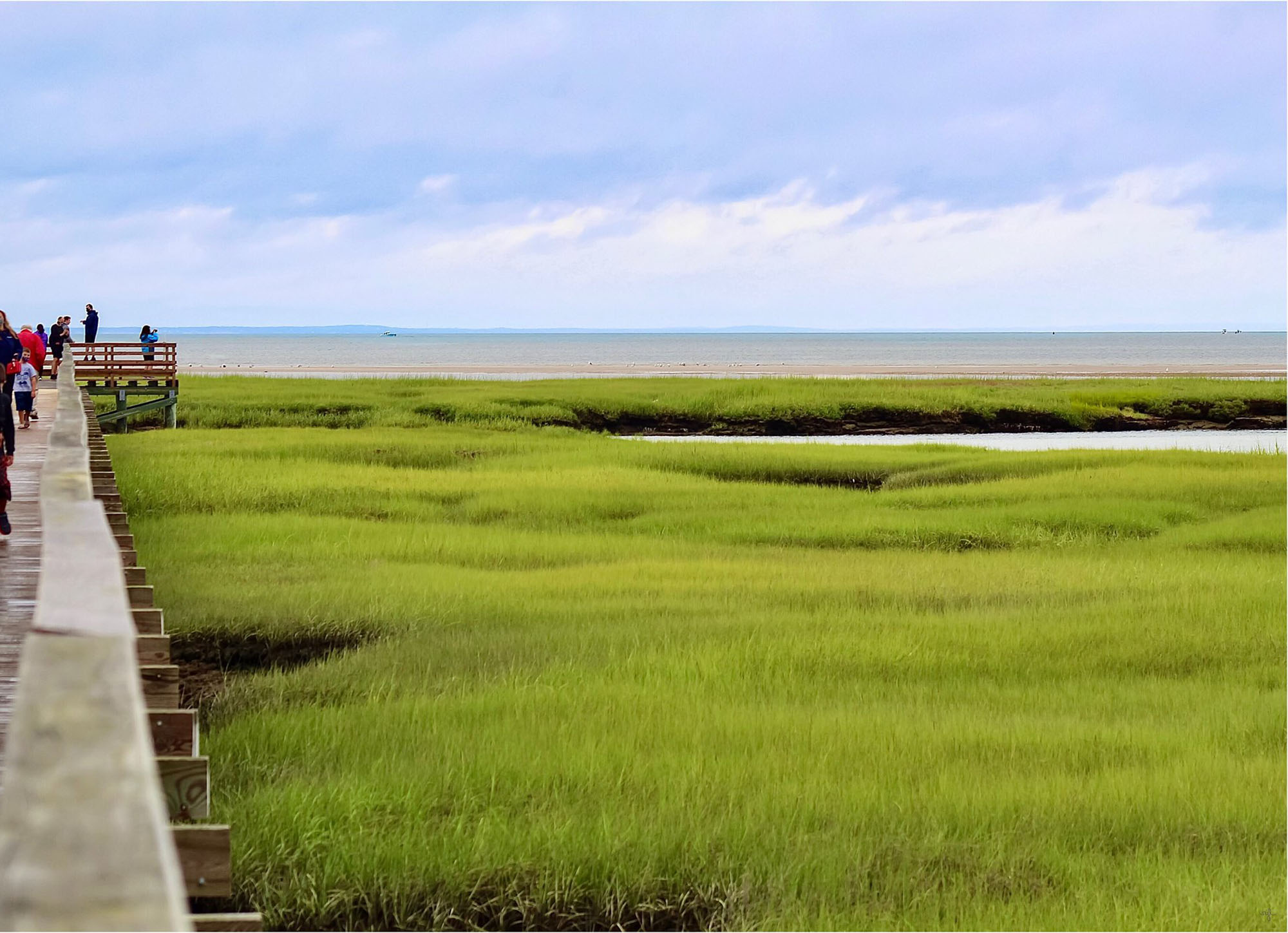 Photo of the marsh on the coast of the Atlantic in Bass Hole, Massachusetts.