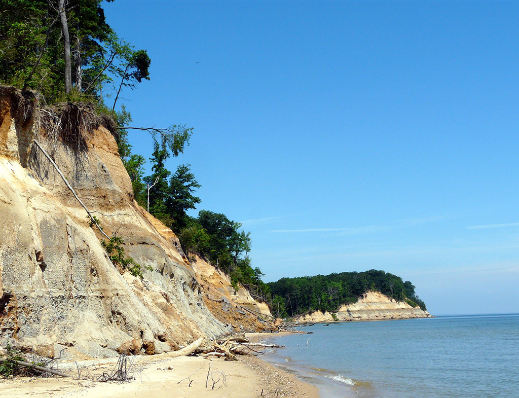 Photo of beachside cliffs in Calvert Cliffs State Park in Maryland.