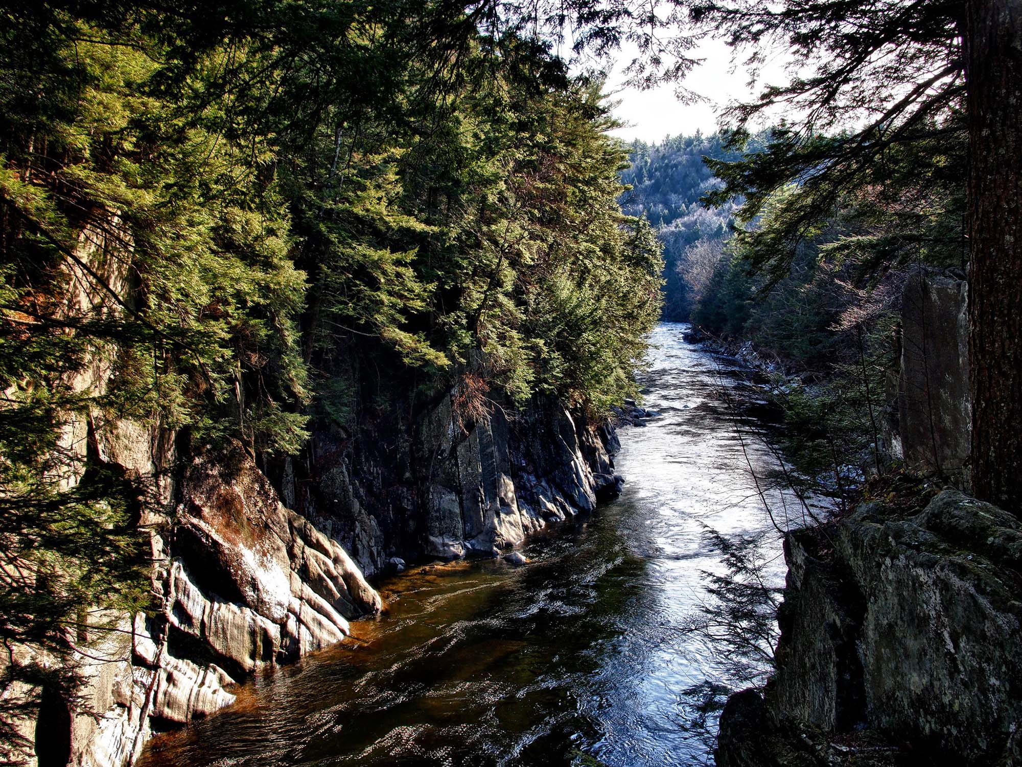 Phot of the woods and gorge in Chesterfield, Massachusetts