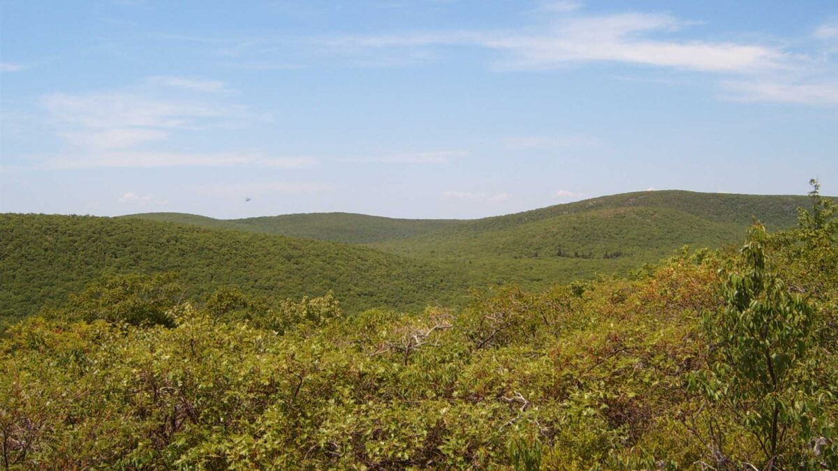 Photograph of Mount Frissell, the highest point in Connecticut.