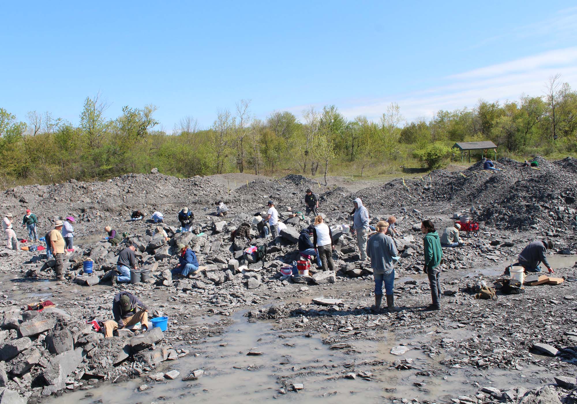 Photo of rock piles with visitors hunting for fossils at Penn Dixie Fossil Park.