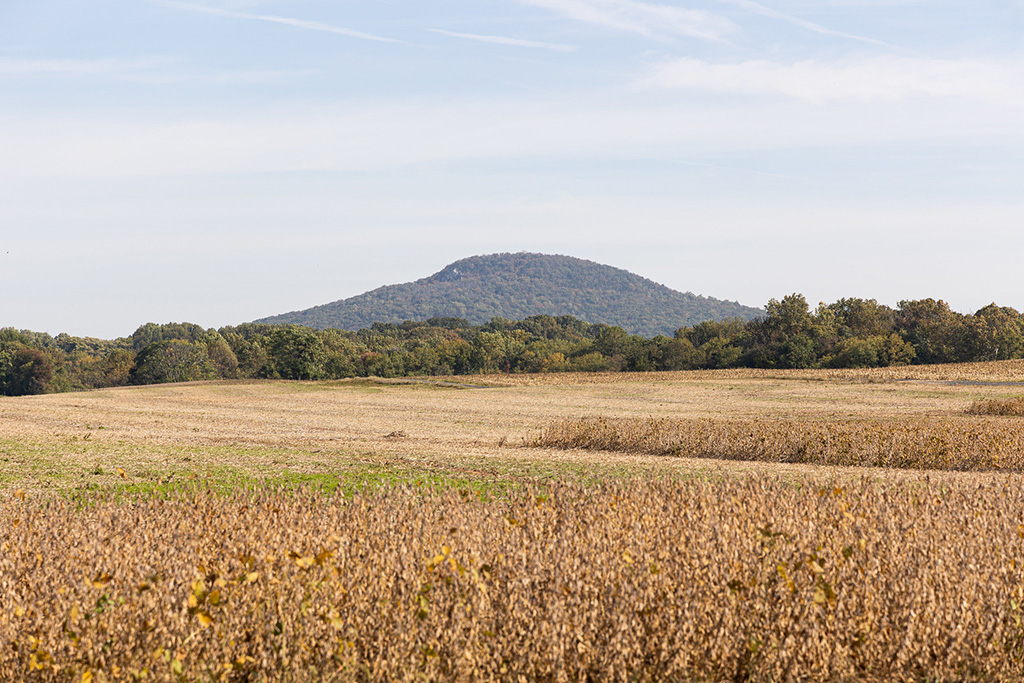 Photo of a field with Sugarloaf Mountain in the background, in Maryland USA.