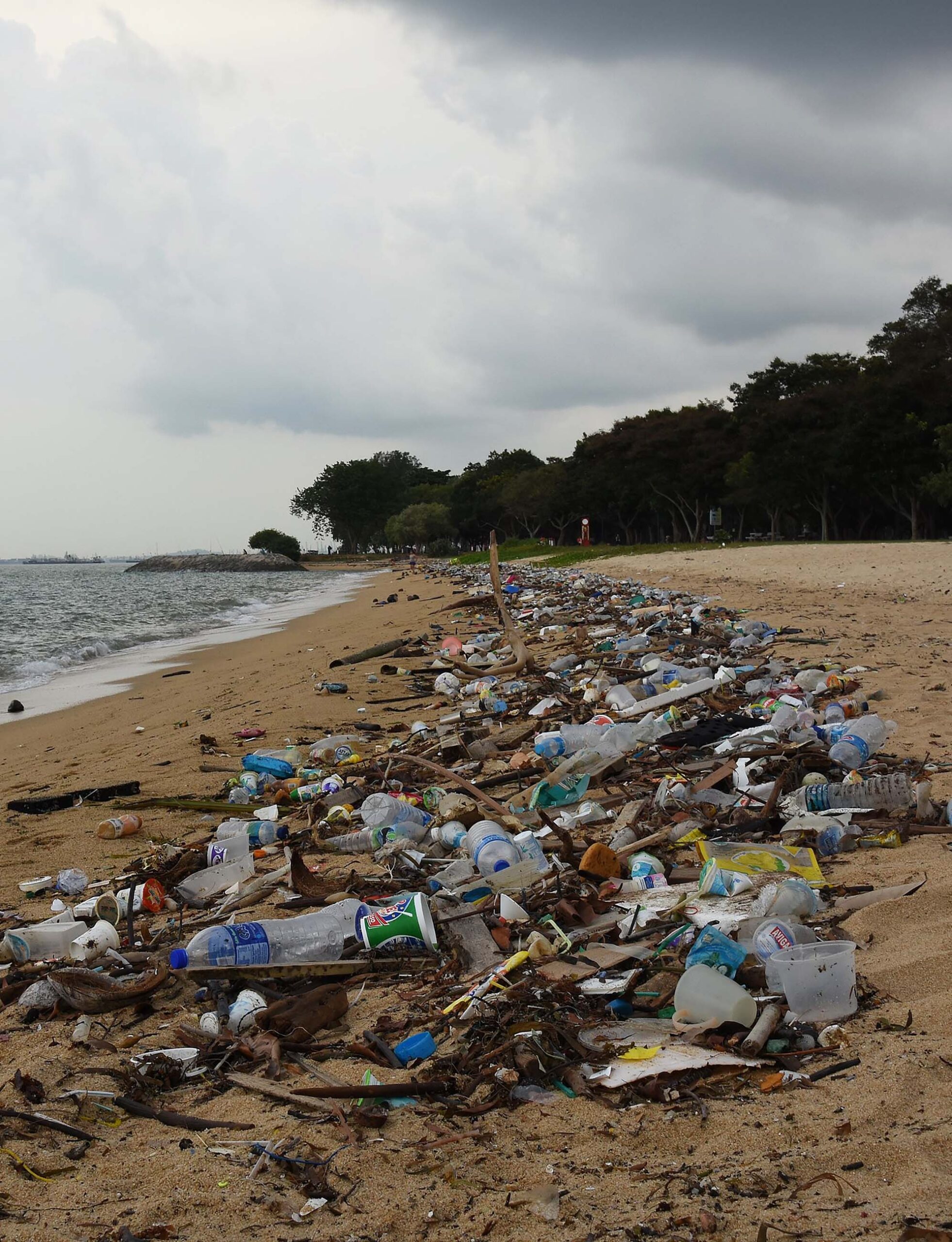 Photo of plastic polluted beach in Singapore.
