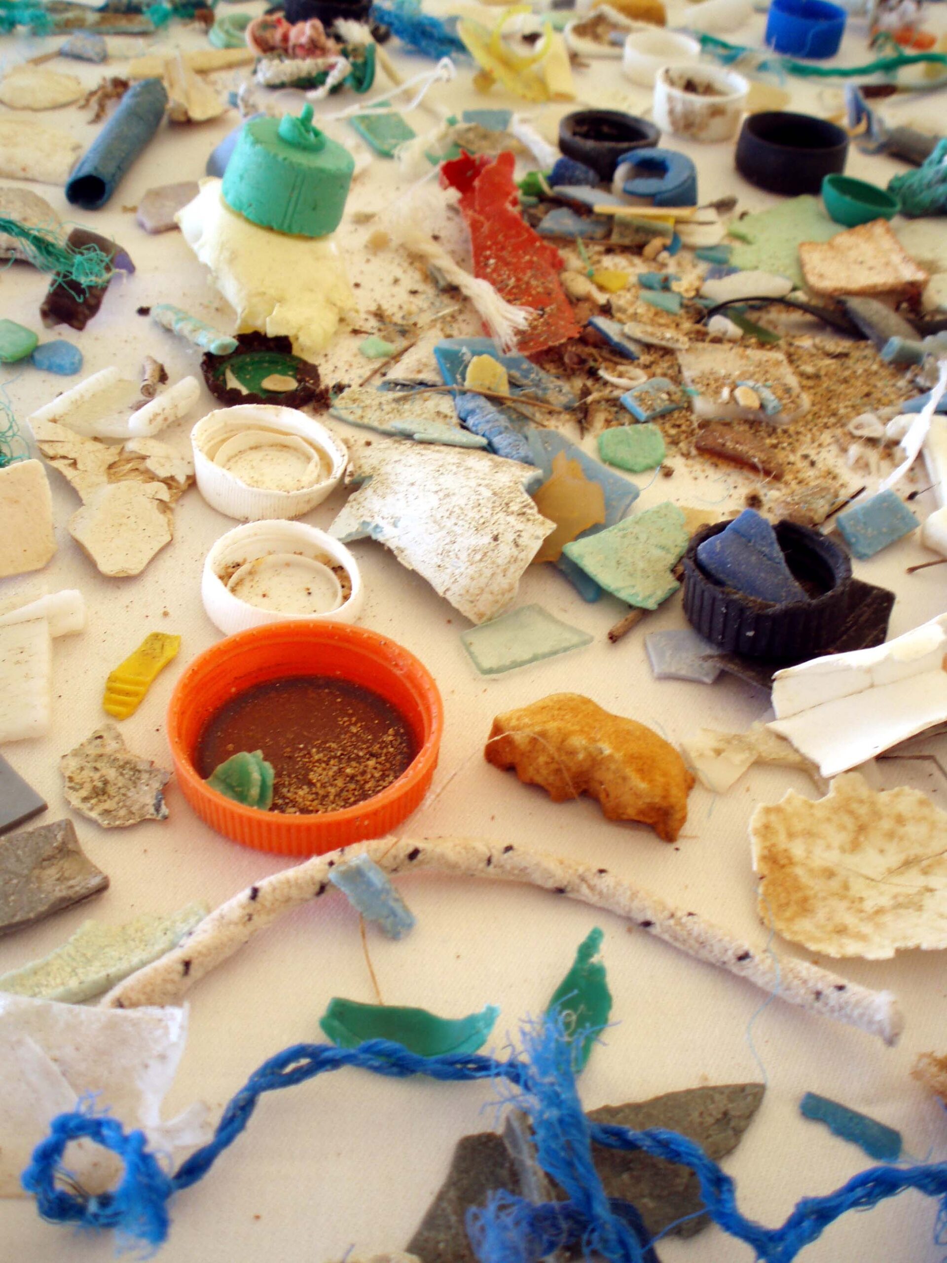 Photo of pieces of broken down, degrading plastics.