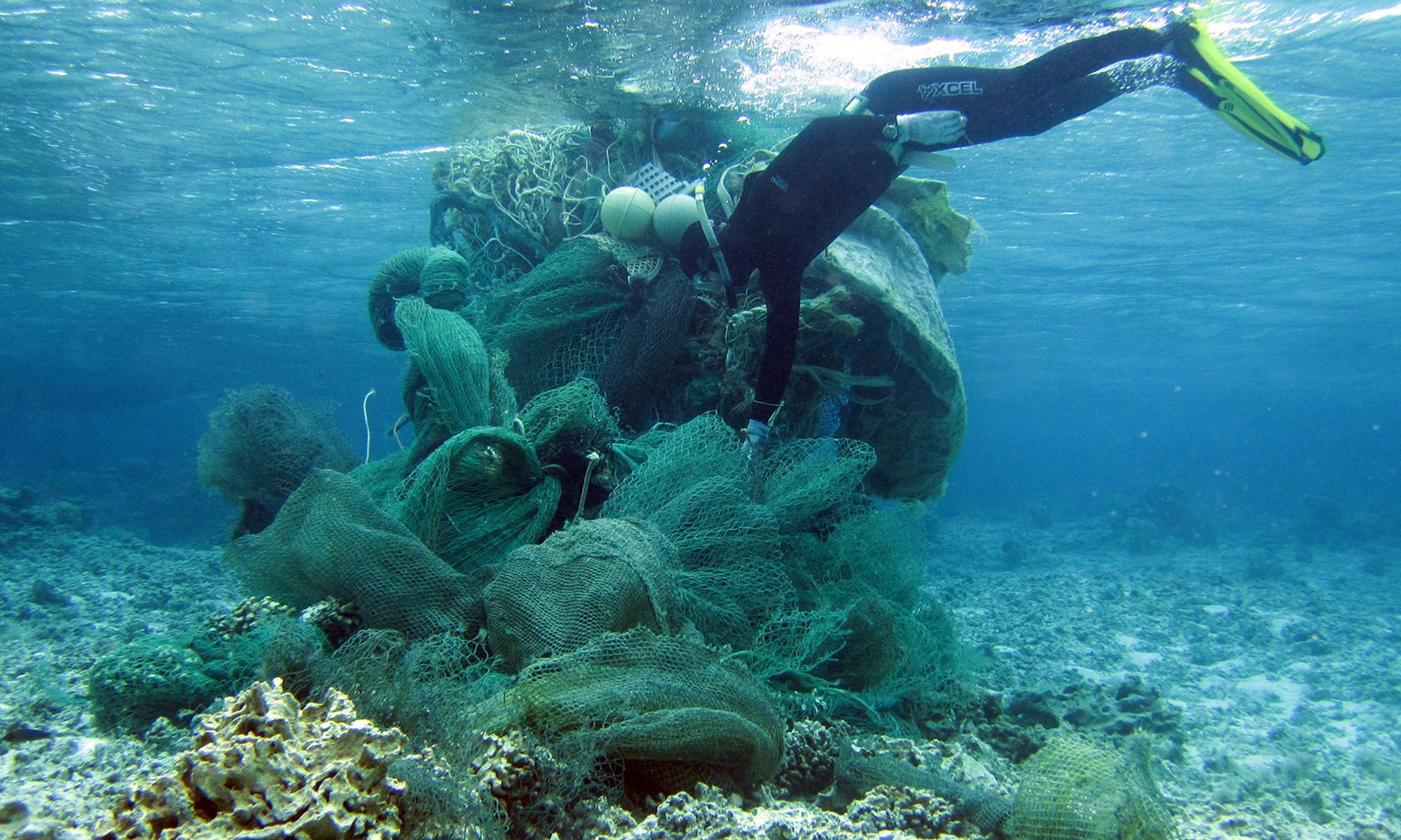 Image of a diver cleaning up derelict fishing debris underwater.