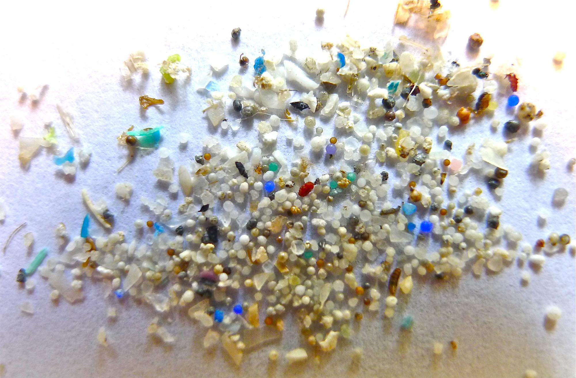 Photo of microplastic pieces.