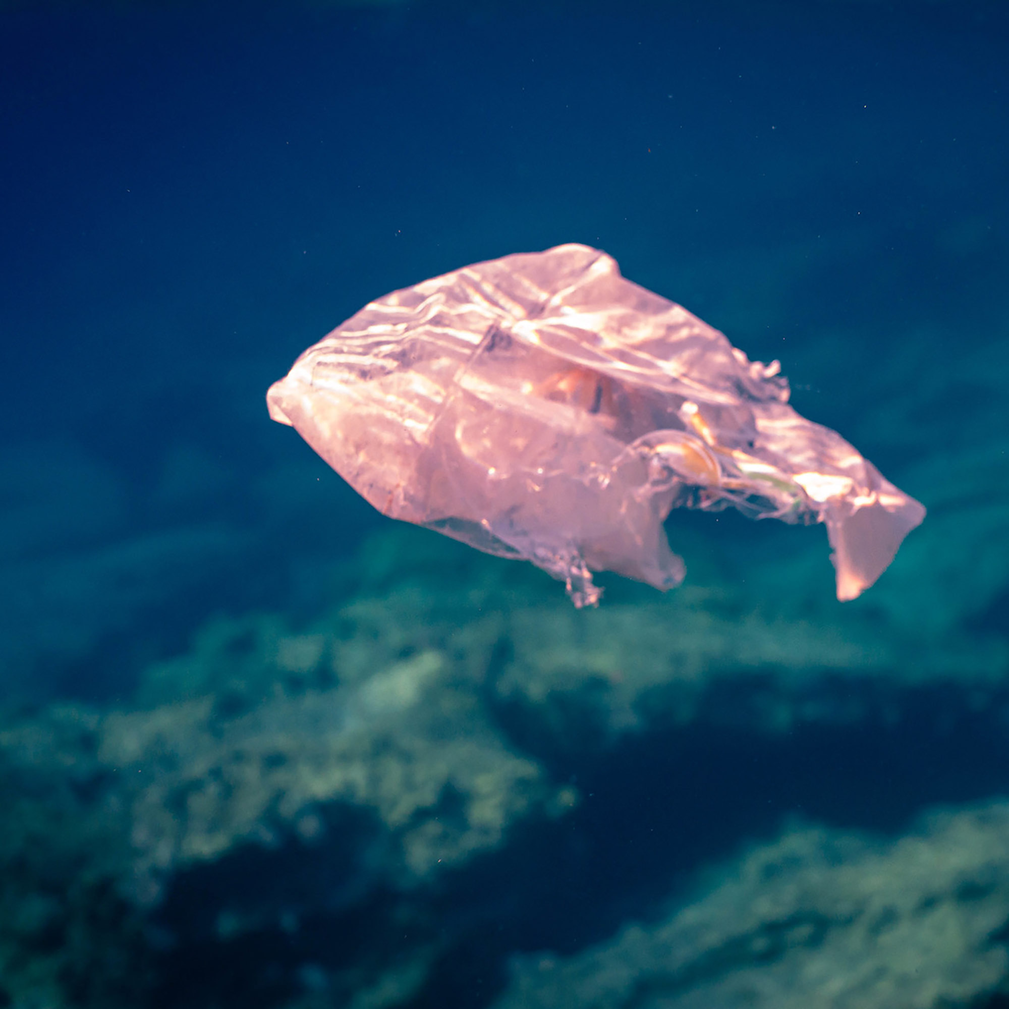 Photo of aged plastic bag drifting underwater.
