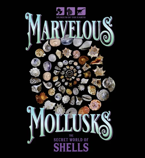 Logo showing many different mollusks shells