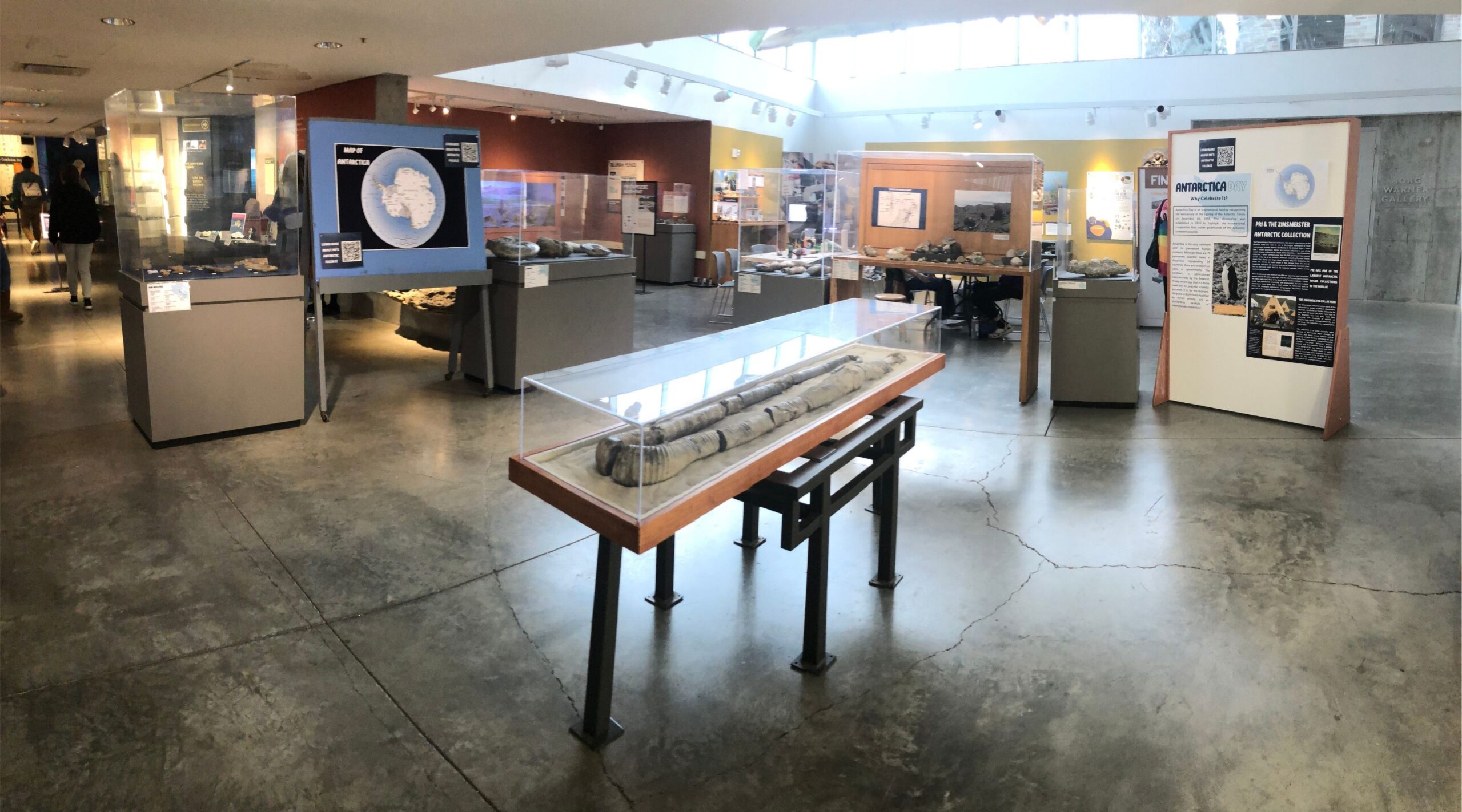 Photo of a display case with a fossil in a museum