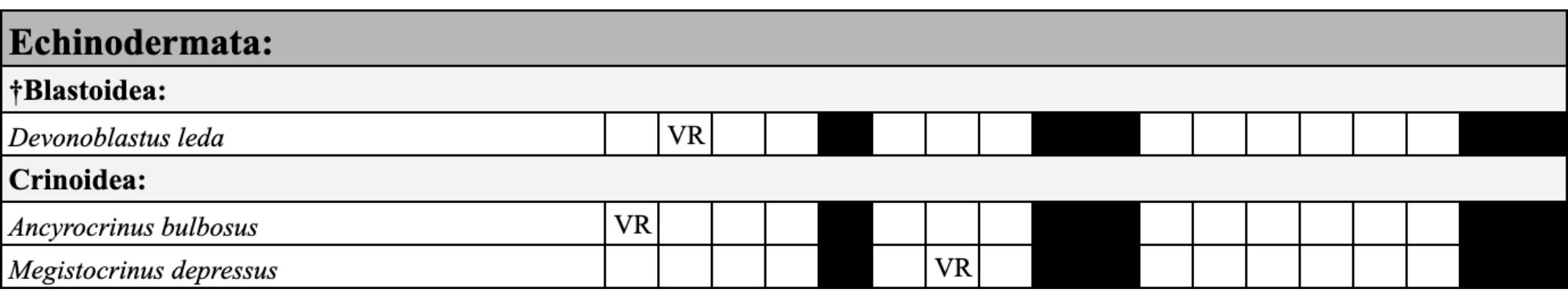 A table with text