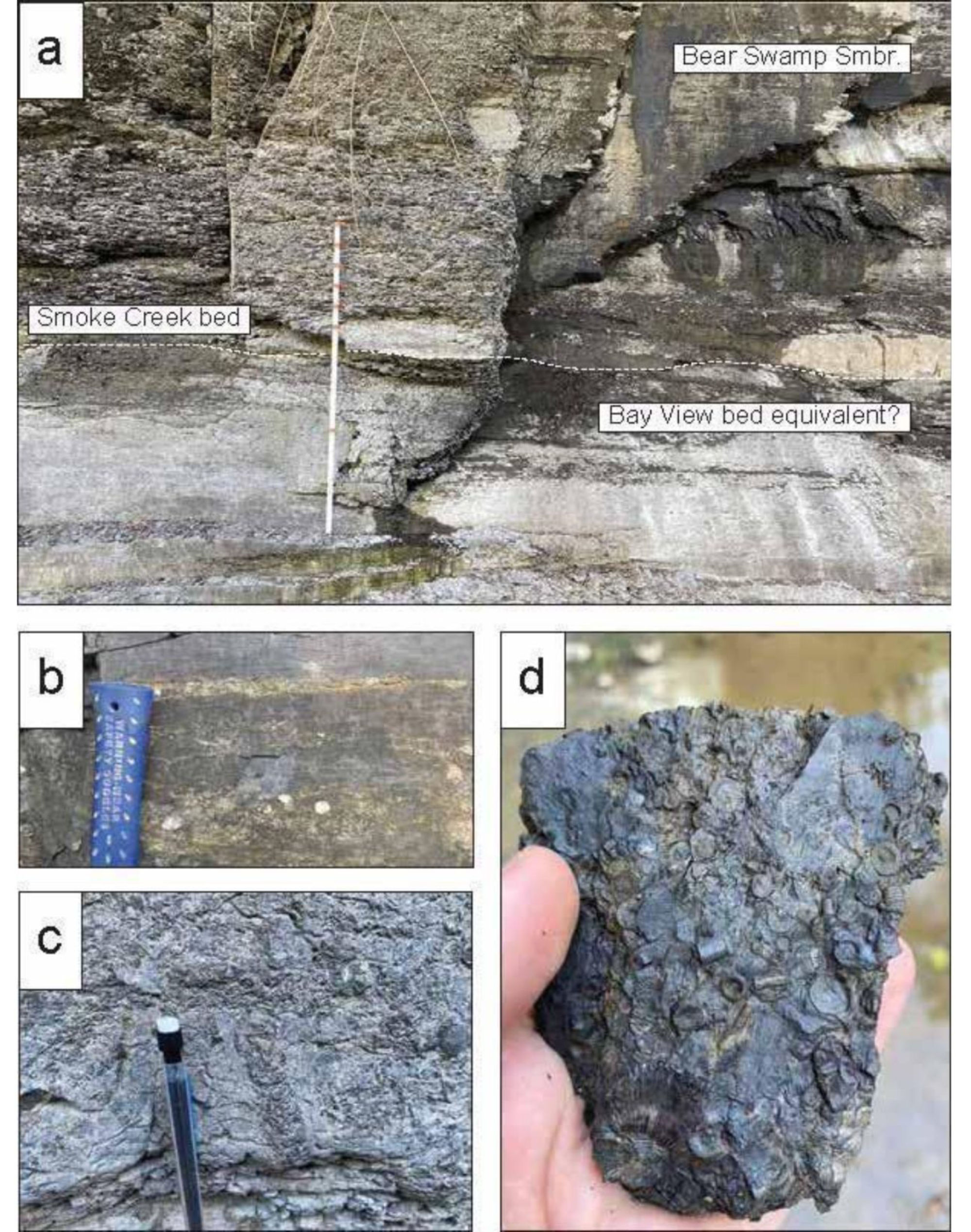 Photograph of a smooth rock with a hole through it, also know an a lucky stone.